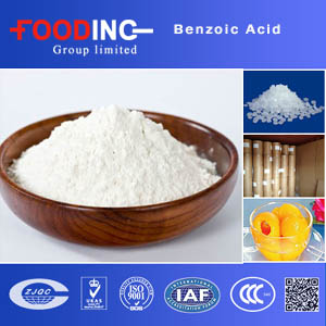 Benzoic Acid Manufacturers