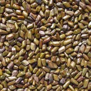 Cassia gum
