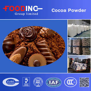 Cocoa Powder Manufacturers