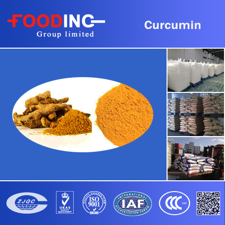 Curcumin supplier