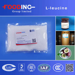 L-leucine suppliers