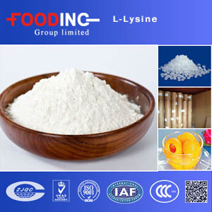 L-Lysine Manufacturers