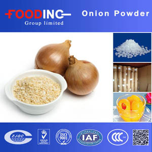 Onion Powder Suppliers