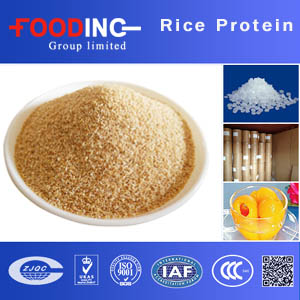 Rice Protein Powder Suppliers