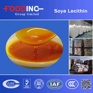 Soya Lecithin Supplier