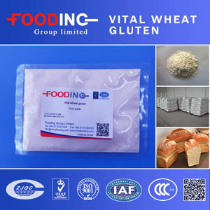 Vital wheat gluten supplier