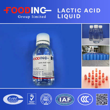 lactic acid suppliers