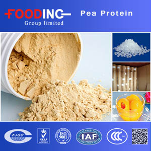 Pea Protein Suppliers