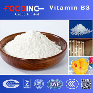 Vitamin B3 Suppliers 